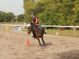 img_7471_web